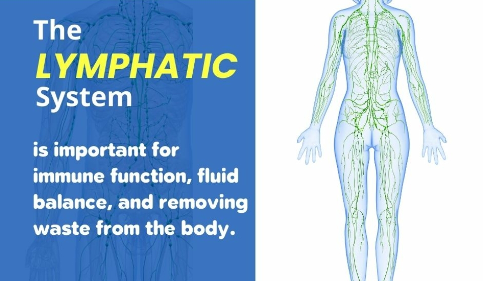 Lymphatic System drainage massage Bath